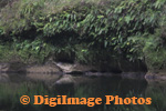 Whanganui 
                  
 
 
 
 
  
  
  
  
  
  
  
  
  
  
  
  
  
  River  6528